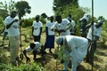 Image of a group of people in white shirts planting trees in a field 