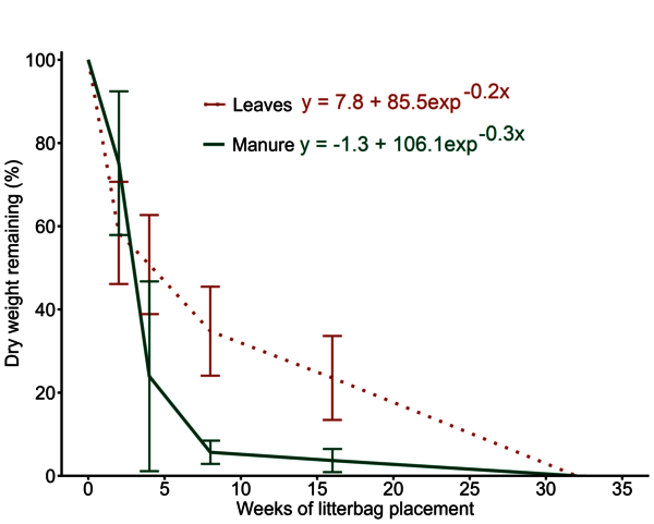 This graphs shows the weights of the buried bags of foliage and manure decreasing over the weeks. 