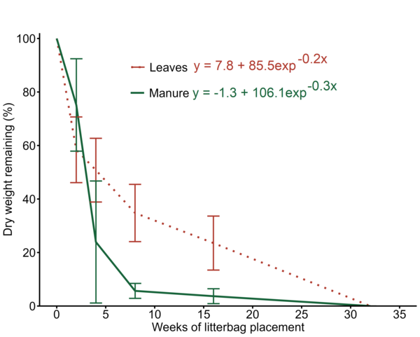 This graphs shows the weights of the buried bags of foliage and manure decreasing over the weeks. 