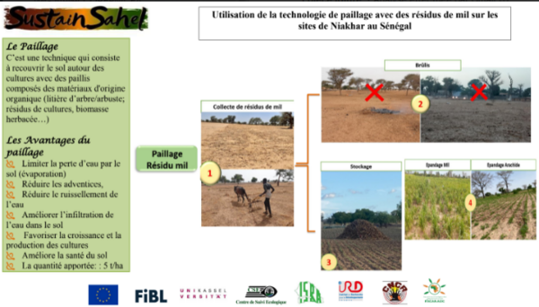 Affiche colorée avec encadré et 4 images illustrant les pratiques recommandées et déconseillées 