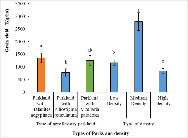 Bar graph in 3 colours showing grain yield