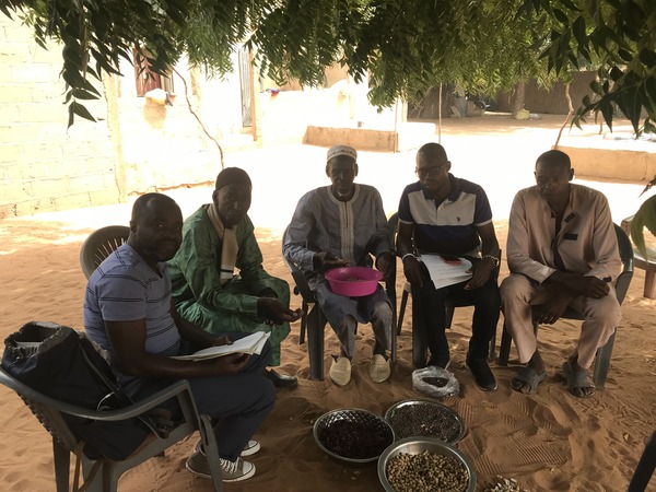 This image shows a group of farmers in discussion.  
