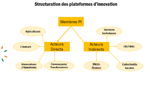 This image shows a colourful chart of an IP